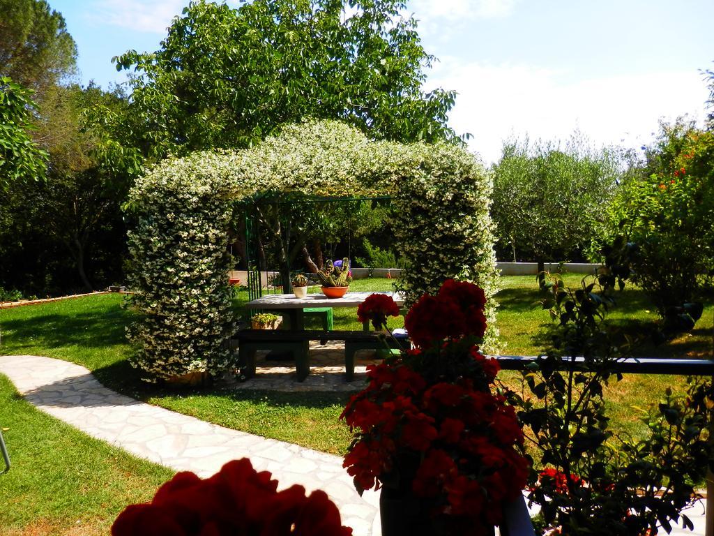 Luna Apartment Poreč Zewnętrze zdjęcie